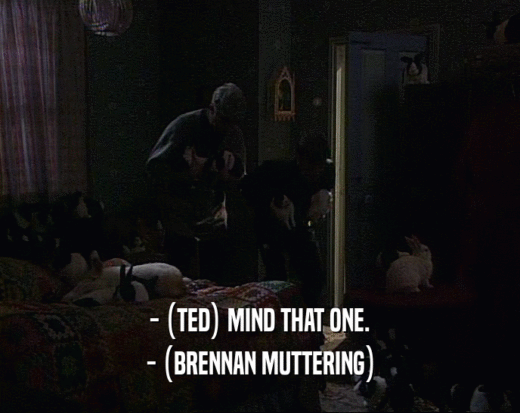 - (TED) MIND THAT ONE. - (BRENNAN MUTTERING) 