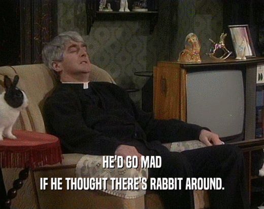 HE'D GO MAD IF HE THOUGHT THERE'S RABBIT AROUND. 