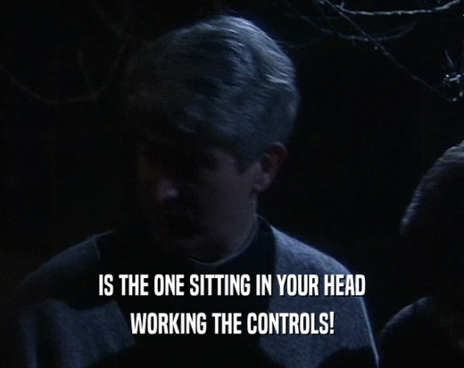 IS THE ONE SITTING IN YOUR HEAD WORKING THE CONTROLS! 