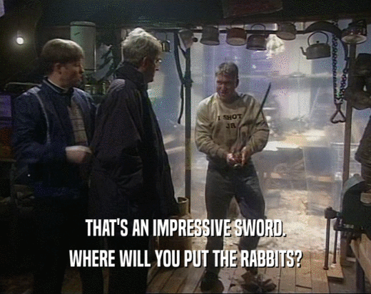 THAT'S AN IMPRESSIVE SWORD. WHERE WILL YOU PUT THE RABBITS? 