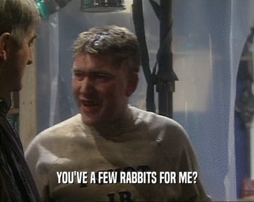 YOU'VE A FEW RABBITS FOR ME?
  