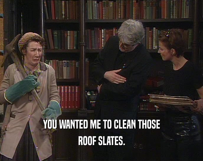 YOU WANTED ME TO CLEAN THOSE
 ROOF SLATES.
 