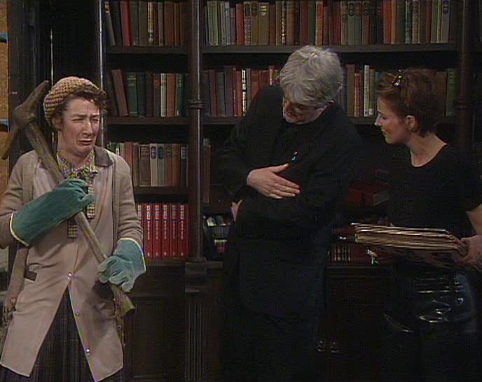 YOU WANTED ME TO CLEAN THOSE ROOF SLATES. 