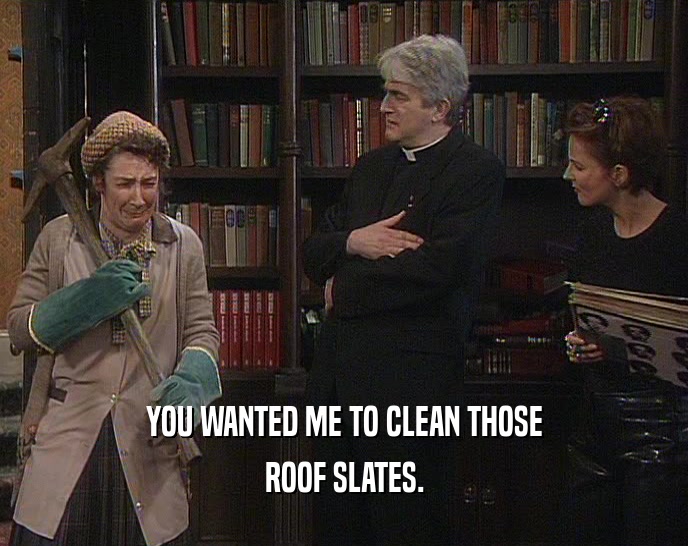 YOU WANTED ME TO CLEAN THOSE
 ROOF SLATES.
 