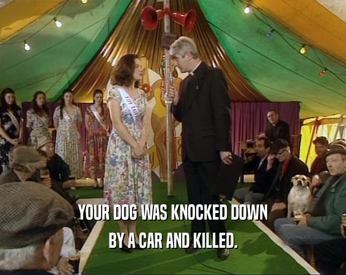 YOUR DOG WAS KNOCKED DOWN BY A CAR AND KILLED. 