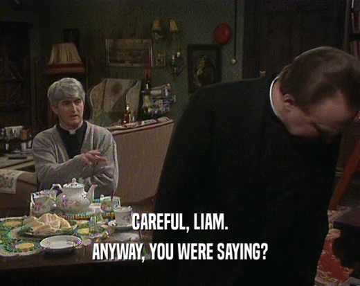 CAREFUL, LIAM. ANYWAY, YOU WERE SAYING? 