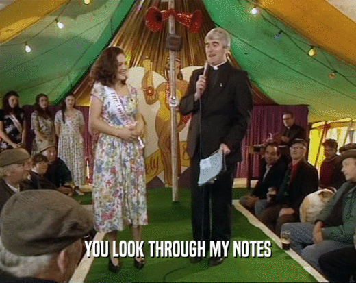 YOU LOOK THROUGH MY NOTES  