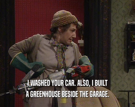 I WASHED YOUR CAR. ALSO, I BUILT A GREENHOUSE BESIDE THE GARAGE. 