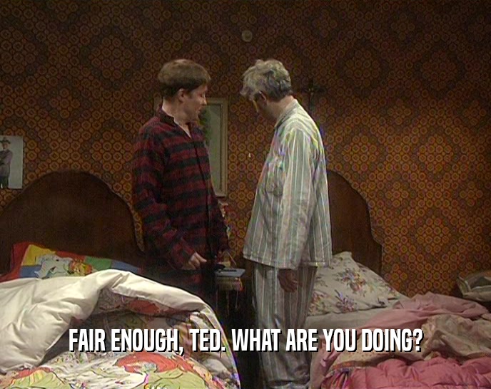 FAIR ENOUGH, TED. WHAT ARE YOU DOING?
  