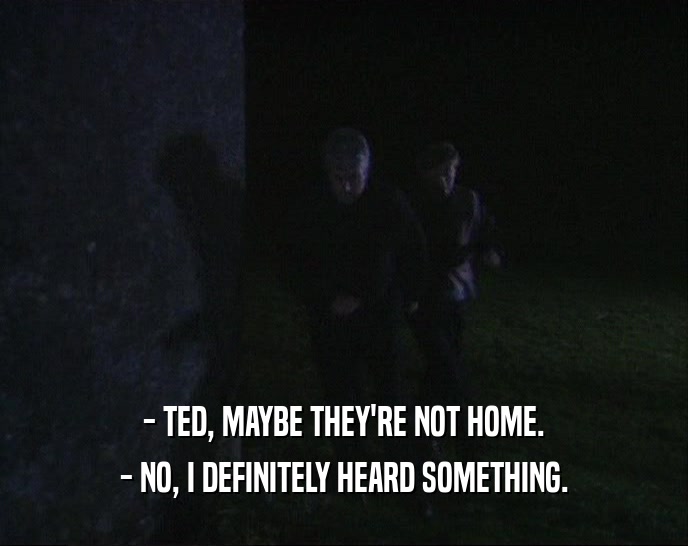 - TED, MAYBE THEY'RE NOT HOME. - NO, I DEFINITELY HEARD SOMETHING. 