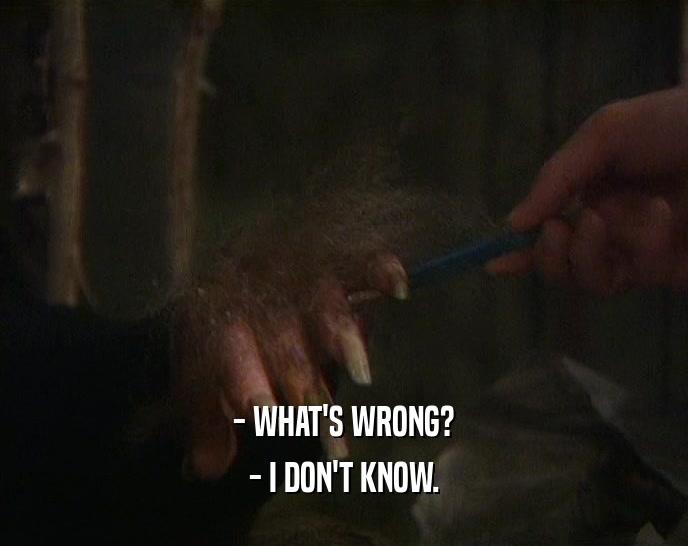 - WHAT'S WRONG? - I DON'T KNOW. 