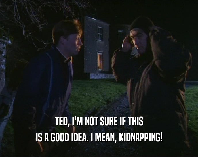 TED, I'M NOT SURE IF THIS
 IS A GOOD IDEA. I MEAN, KIDNAPPING!
 