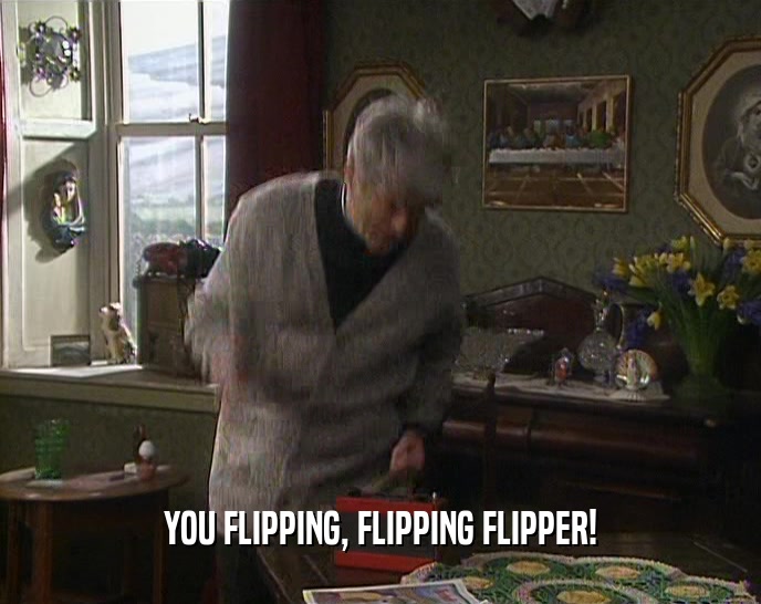 YOU FLIPPING, FLIPPING FLIPPER!  
