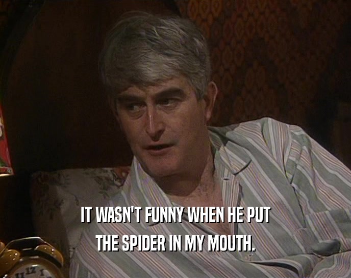 IT WASN'T FUNNY WHEN HE PUT THE SPIDER IN MY MOUTH. 