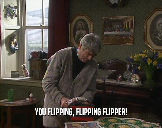 YOU FLIPPING, FLIPPING FLIPPER!  