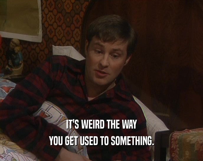 IT'S WEIRD THE WAY YOU GET USED TO SOMETHING. 