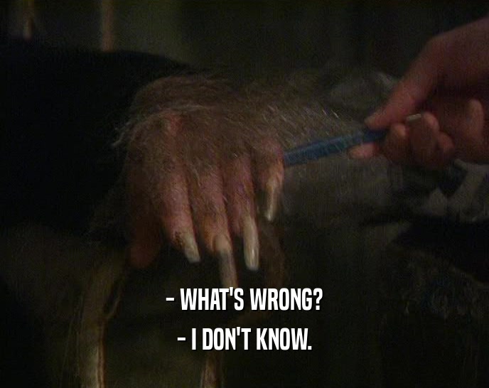 - WHAT'S WRONG? - I DON'T KNOW. 