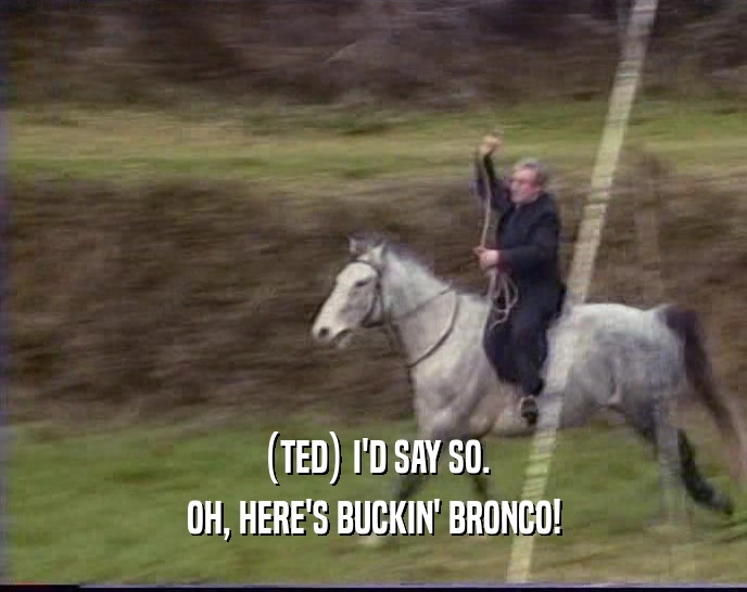 (TED) I'D SAY SO.
 OH, HERE'S BUCKIN' BRONCO!
 