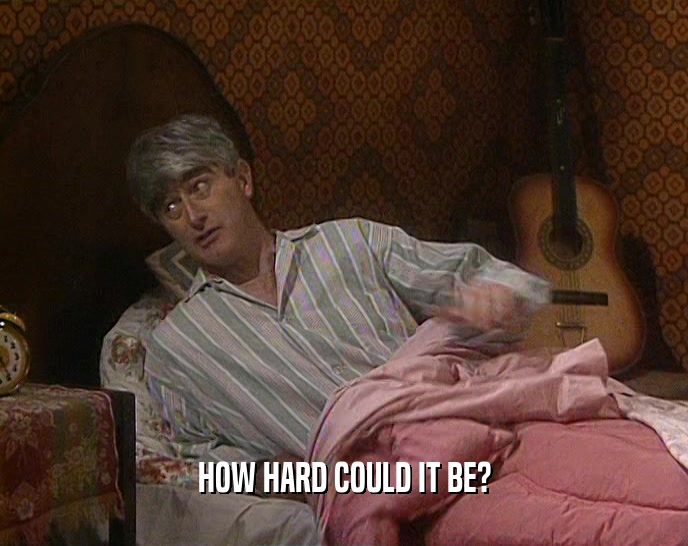HOW HARD COULD IT BE?  
