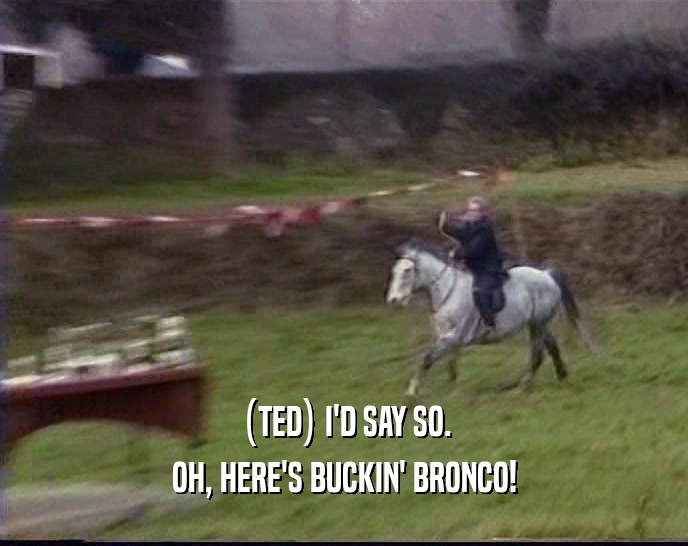 (TED) I'D SAY SO.
 OH, HERE'S BUCKIN' BRONCO!
 