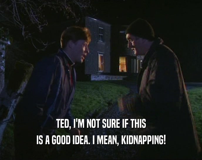 TED, I'M NOT SURE IF THIS
 IS A GOOD IDEA. I MEAN, KIDNAPPING!
 