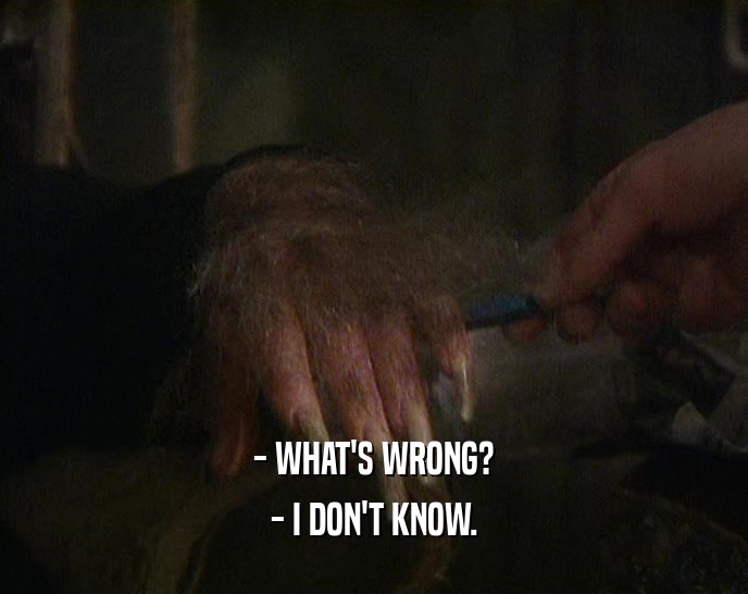 - WHAT'S WRONG? - I DON'T KNOW. 