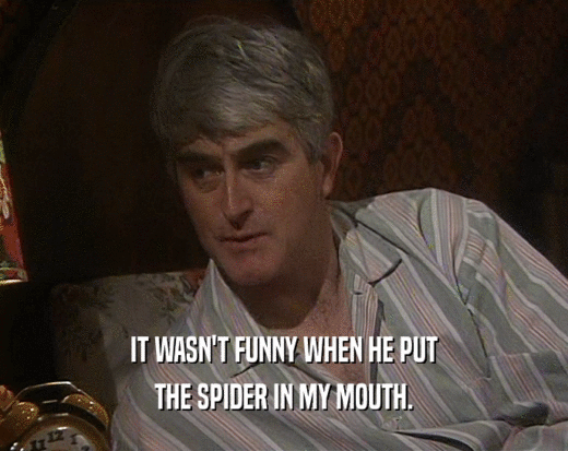 IT WASN'T FUNNY WHEN HE PUT
 THE SPIDER IN MY MOUTH.
 