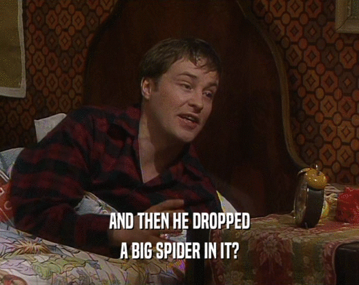 AND THEN HE DROPPED A BIG SPIDER IN IT? 