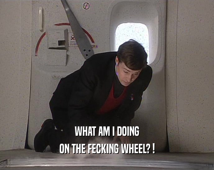 WHAT AM I DOING
 ON THE FECKING WHEEL? !
 