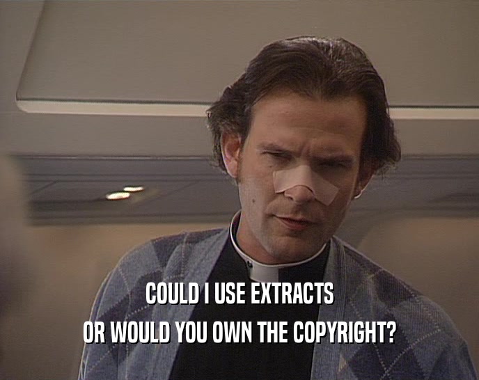 COULD I USE EXTRACTS OR WOULD YOU OWN THE COPYRIGHT? 