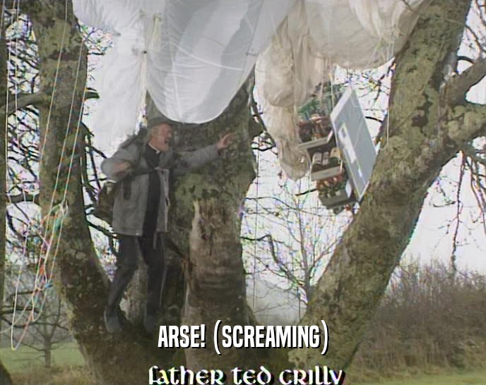 ARSE! (SCREAMING)  