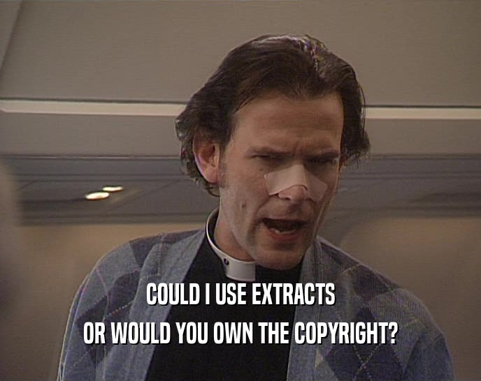 COULD I USE EXTRACTS OR WOULD YOU OWN THE COPYRIGHT? 