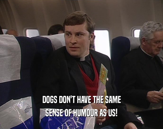 DOGS DON'T HAVE THE SAME SENSE OF HUMOUR AS US! 