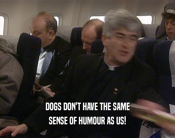 DOGS DON'T HAVE THE SAME SENSE OF HUMOUR AS US! 