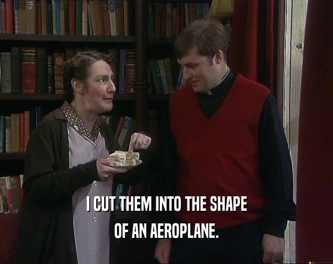 I CUT THEM INTO THE SHAPE OF AN AEROPLANE. 
