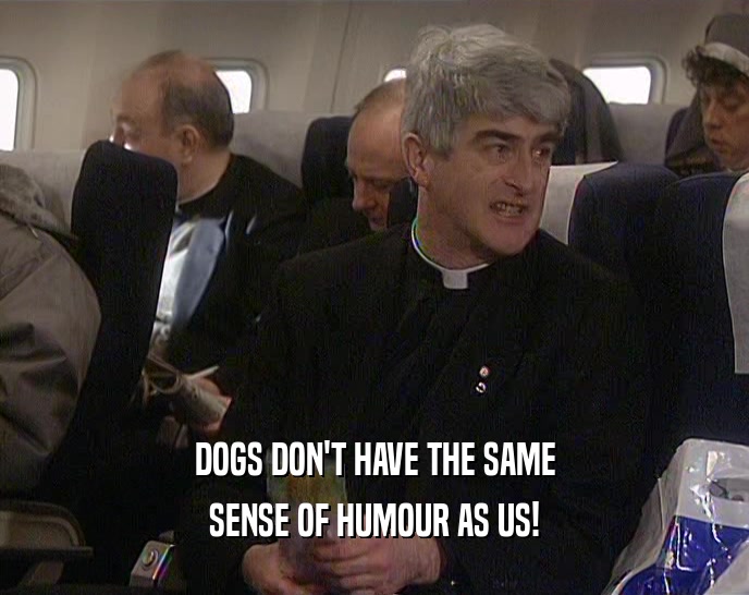DOGS DON'T HAVE THE SAME SENSE OF HUMOUR AS US! 