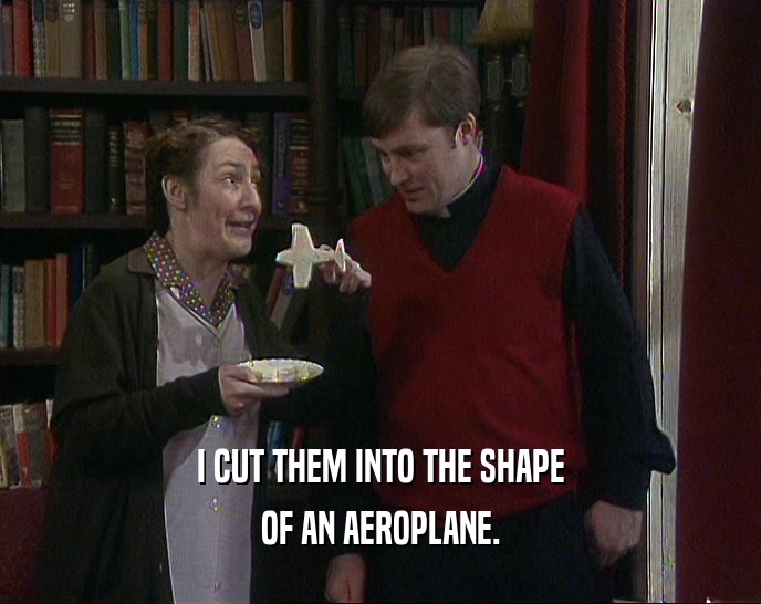 I CUT THEM INTO THE SHAPE OF AN AEROPLANE. 