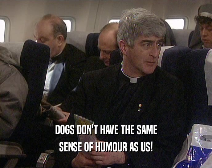 DOGS DON'T HAVE THE SAME SENSE OF HUMOUR AS US! 