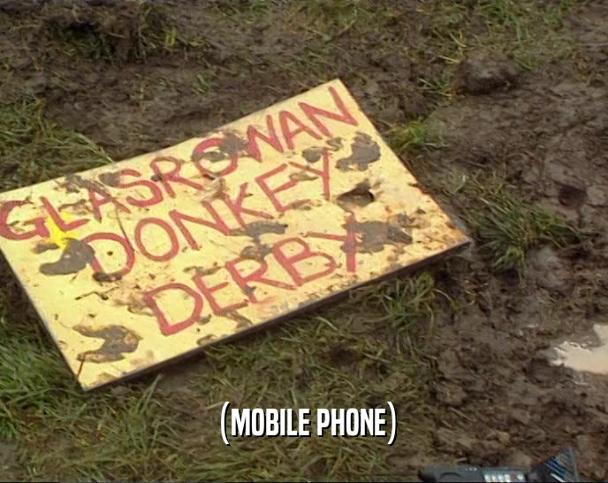 (MOBILE PHONE)  