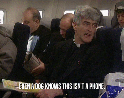 EVEN A DOG KNOWS THIS ISN'T A PHONE.  