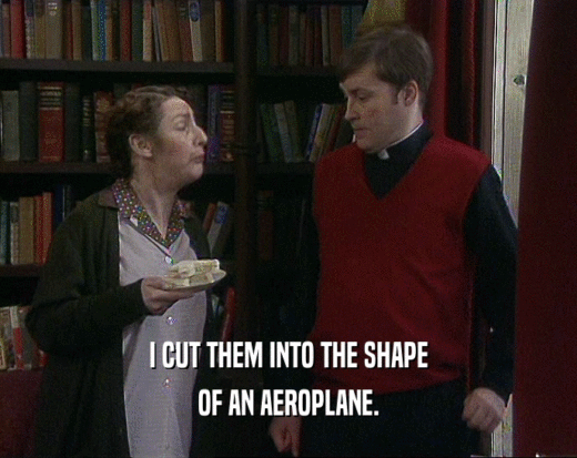 I CUT THEM INTO THE SHAPE OF AN AEROPLANE. 