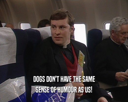 DOGS DON'T HAVE THE SAME SENSE OF HUMOUR AS US! 