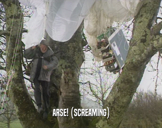 ARSE! (SCREAMING)  