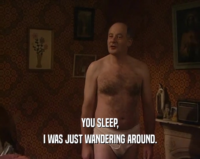 YOU SLEEP, I WAS JUST WANDERING AROUND. 