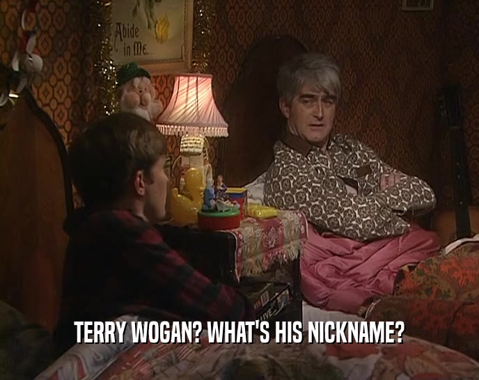 TERRY WOGAN? WHAT'S HIS NICKNAME?  