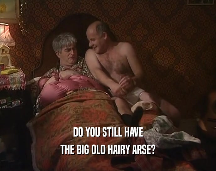 DO YOU STILL HAVE
 THE BIG OLD HAIRY ARSE?
 