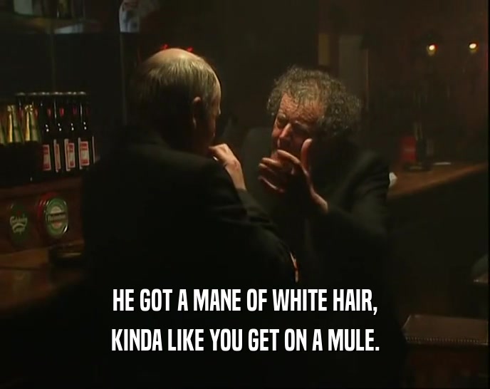 HE GOT A MANE OF WHITE HAIR, KINDA LIKE YOU GET ON A MULE. 