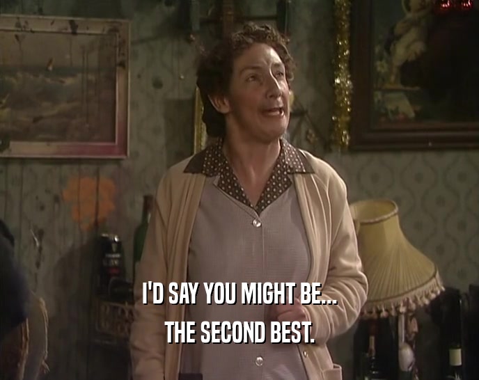 I'D SAY YOU MIGHT BE... THE SECOND BEST. 