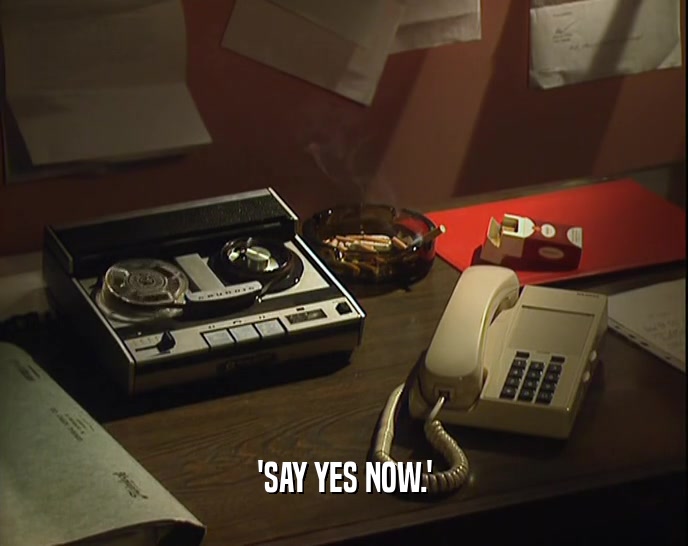 'SAY YES NOW.'  