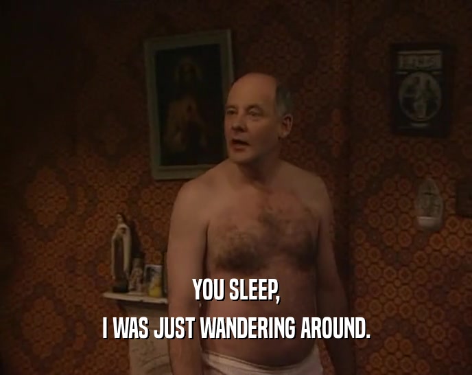 YOU SLEEP, I WAS JUST WANDERING AROUND. 